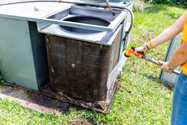 Best Ductwork Cleaning Services  in Williams, AZ