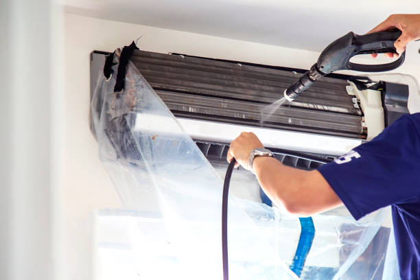 Best Home Air Vent Cleaning  in Williams, AZ