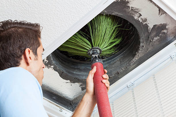 Best HVAC Maintenance and Cleaning  in Williams, AZ