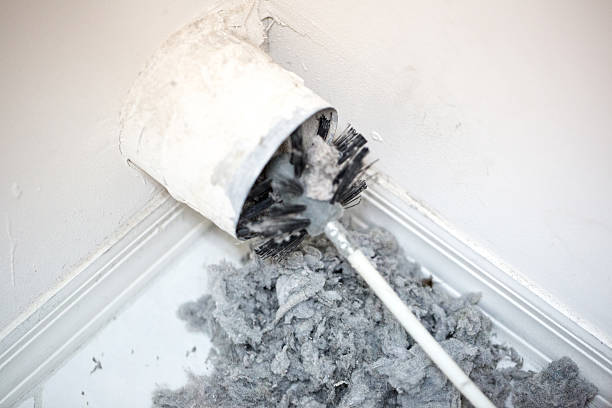 Best Air Duct Cleaning Near Me  in Williams, AZ