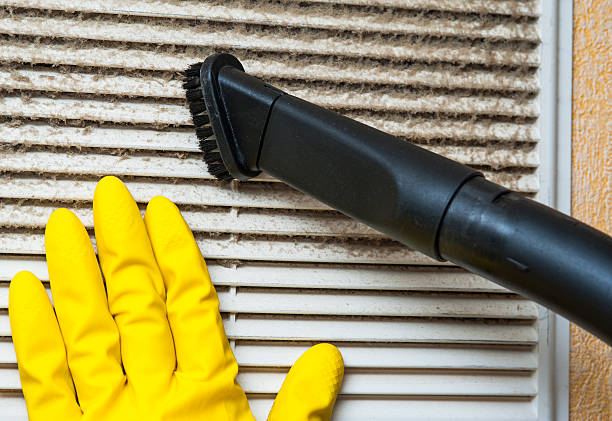 Best Air Duct Cleaning Near Me  in Williams, AZ