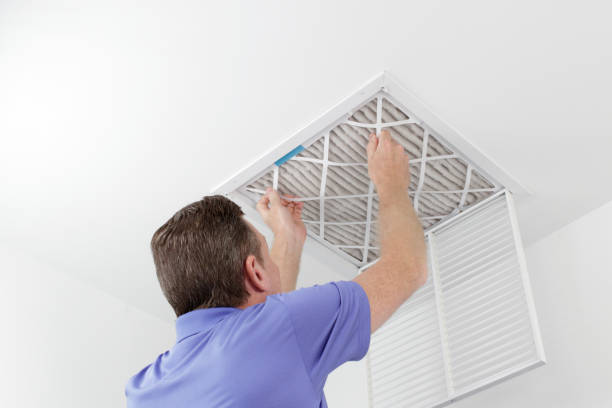 Best Air Vent Cleaning Services  in Williams, AZ